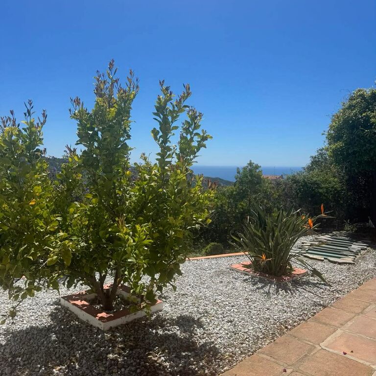 Casa Azafranes Boutique B&B