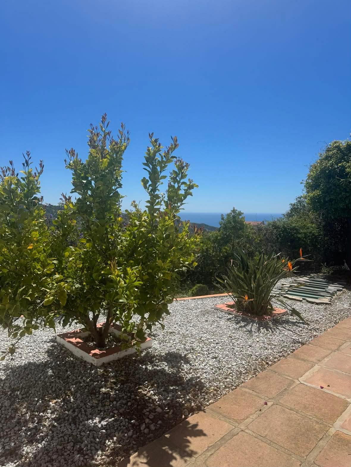 Casa Azafranes Boutique B&B