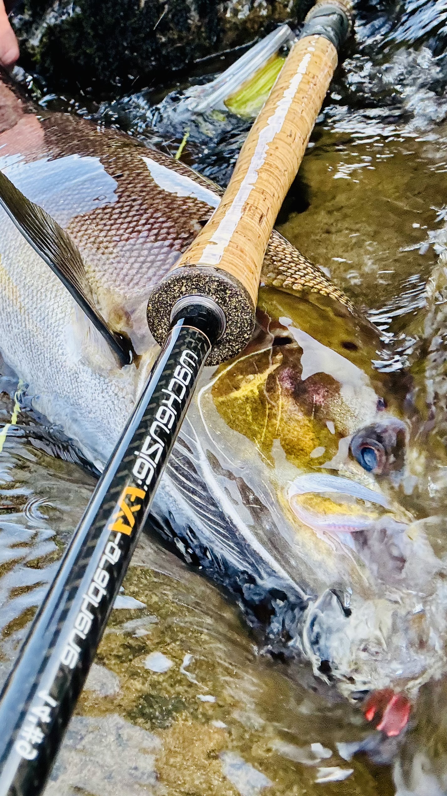 SpeyArms FlyFishing Co.