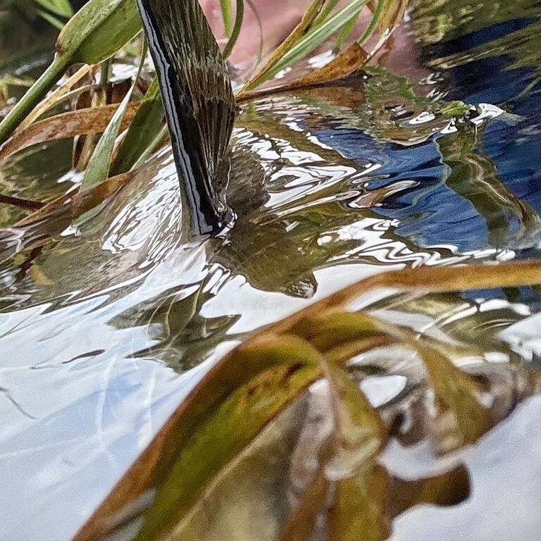 SpeyArms FlyFishing Co.