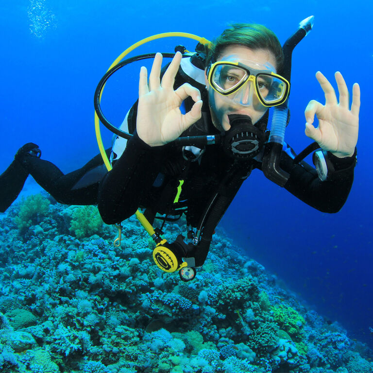 ProDive Plettenberg Bay