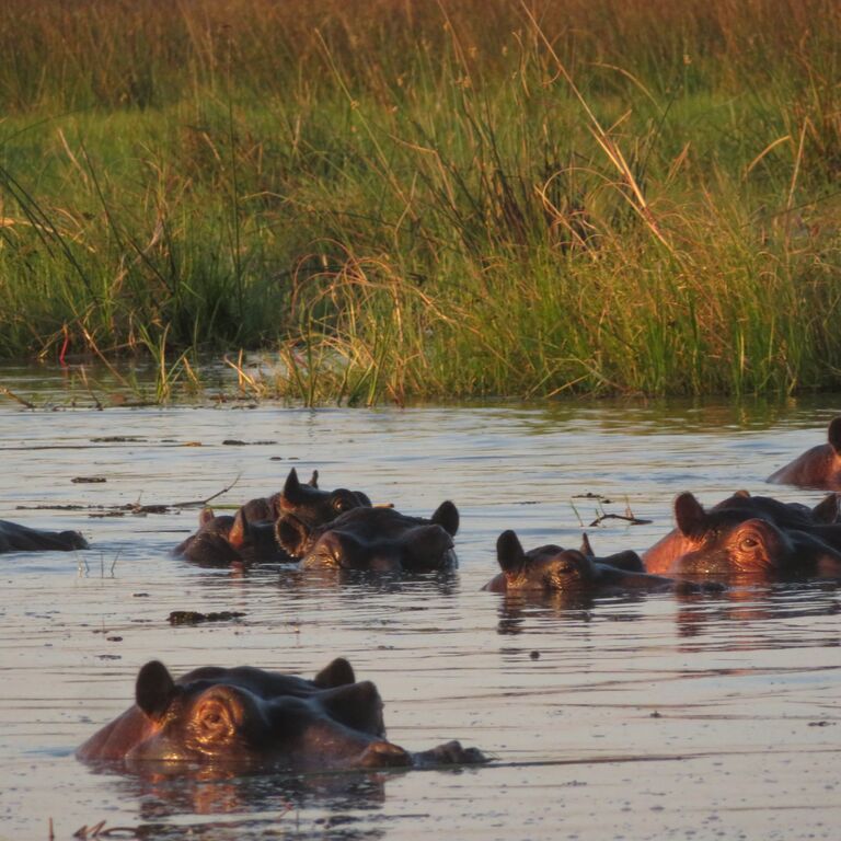 2-Day Mobile Camping Safari