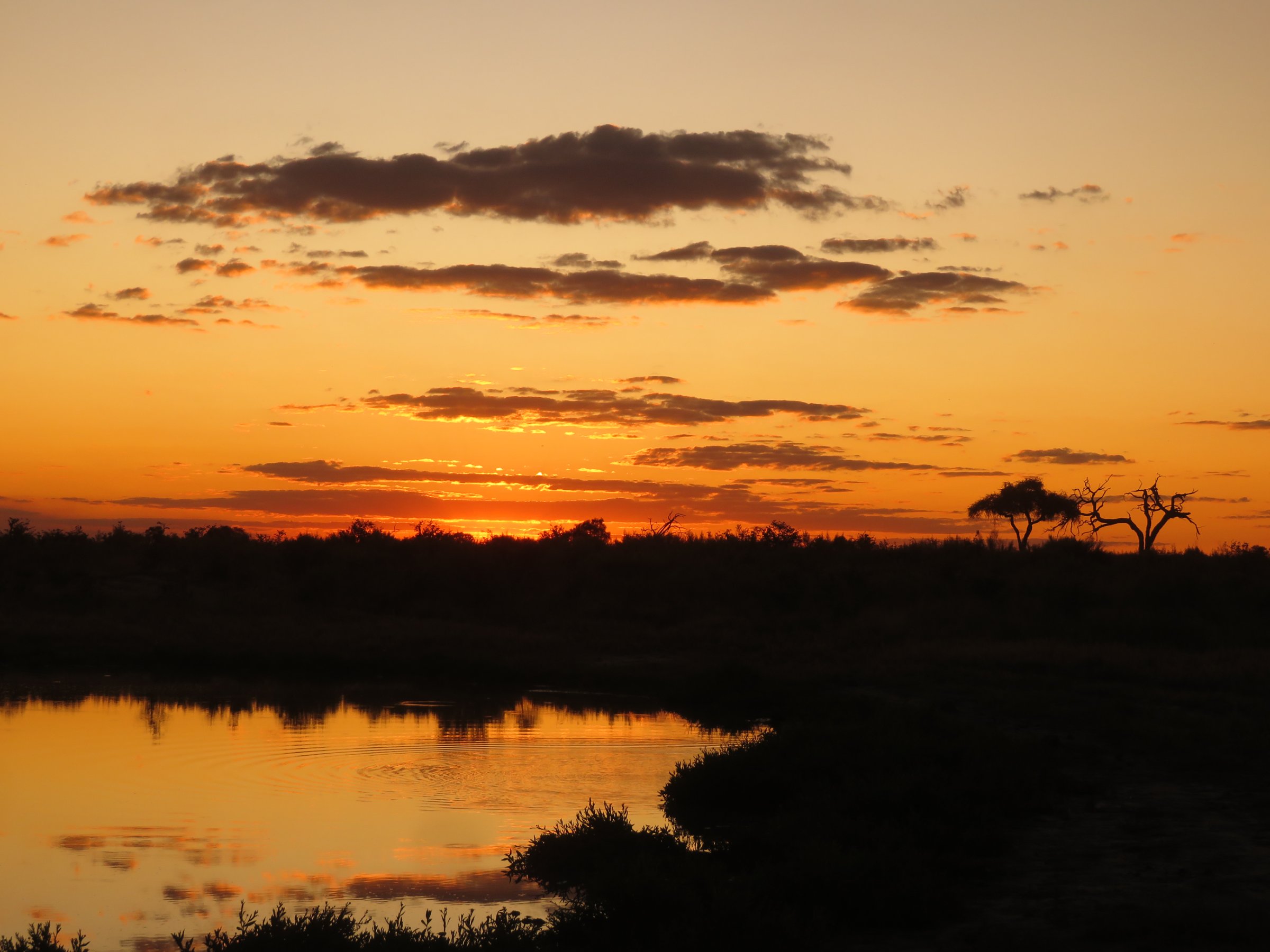 Camping Safari Tour