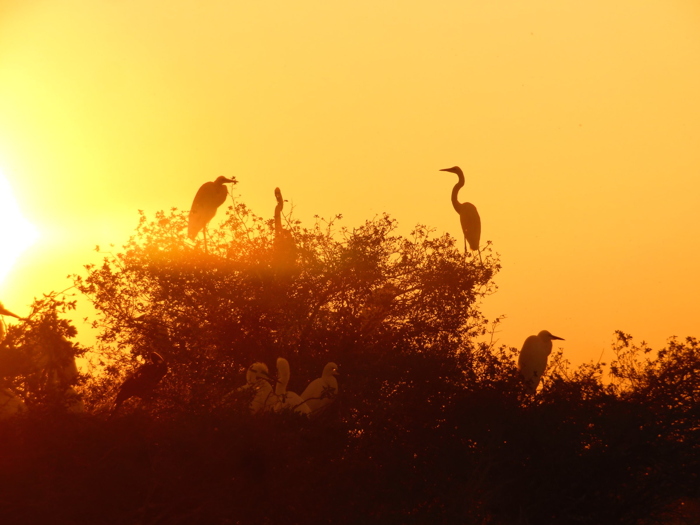 Makgadikgadi Pans Day Trip