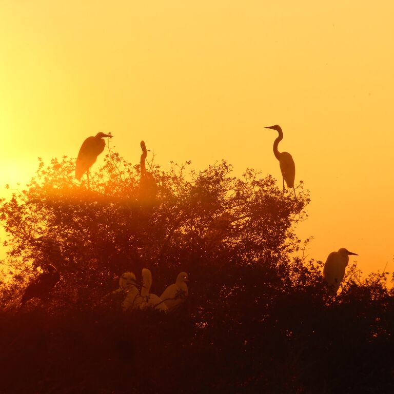 Makgadikgadi Pans Day Trip
