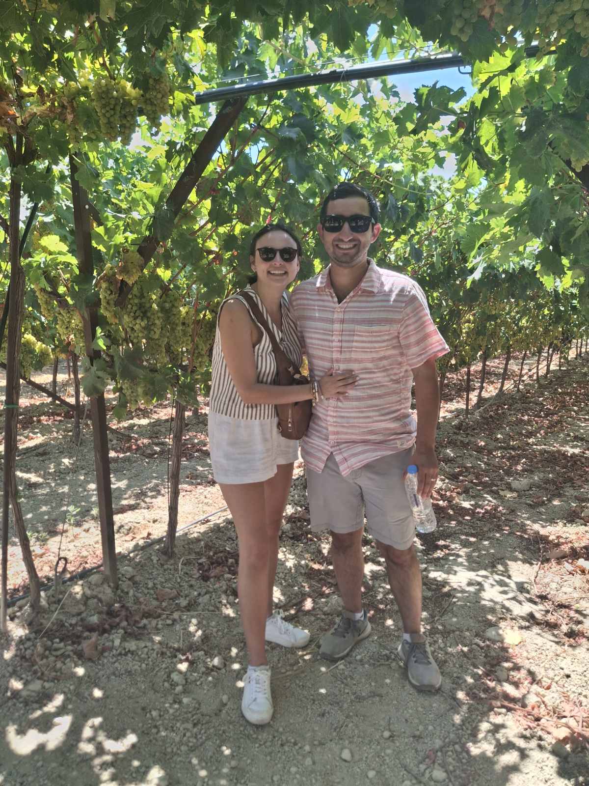 Fournarakis Winery