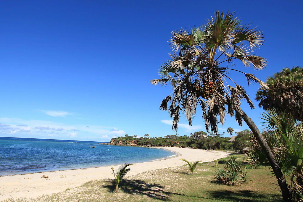 Amani Beach Resort