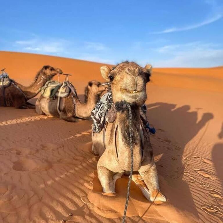 Desert tour Maroc