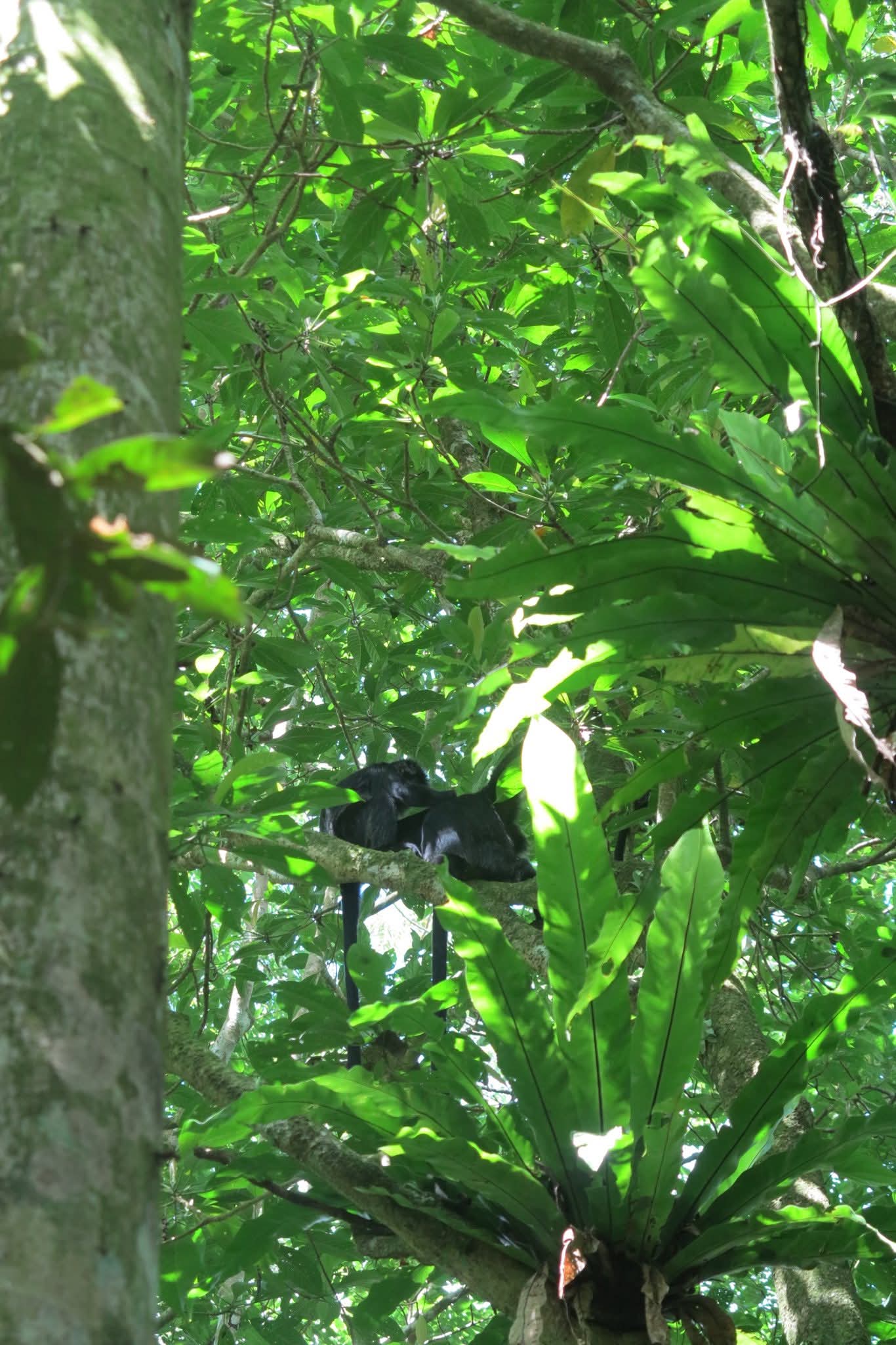 Lombok indonesian transport