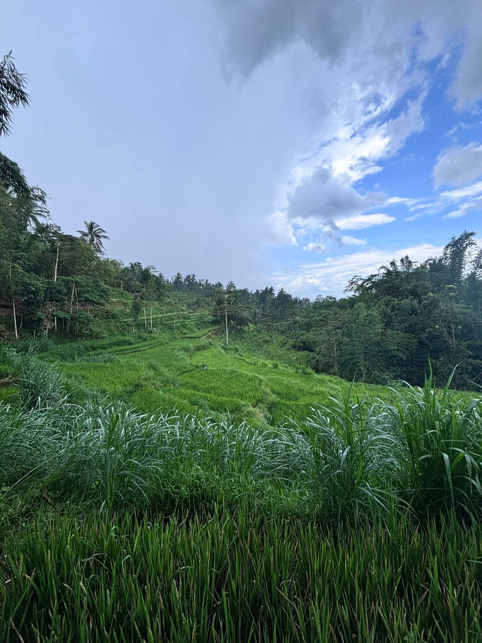 Lombok indonesian transport