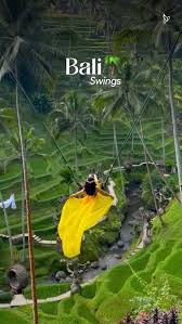 bali holiday tour service