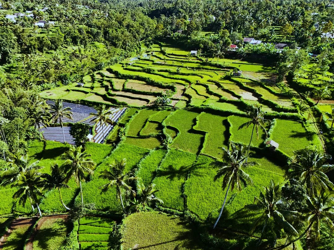 TOUR One day trip in Lombok