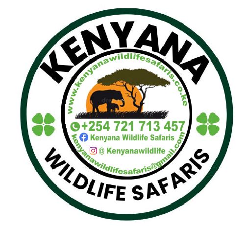 Kenyana Wildlife Safaris