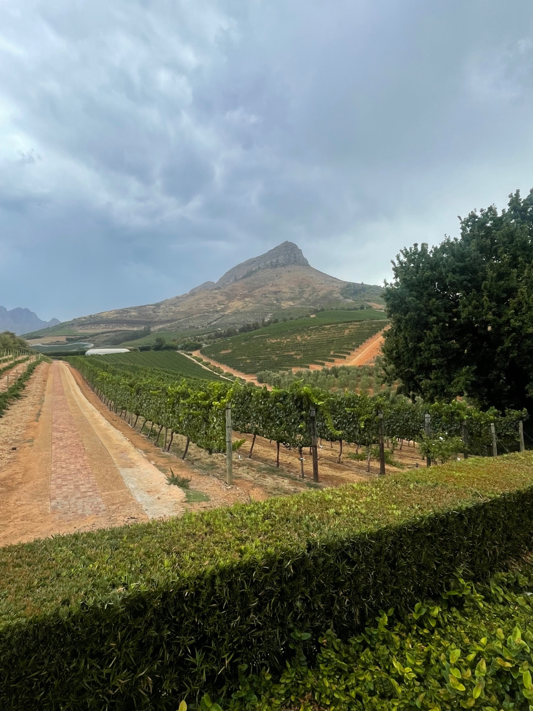 Alzoul cape town tours and tra