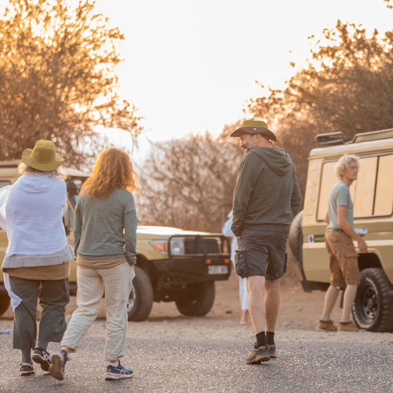 Joyful Safaris and Tours