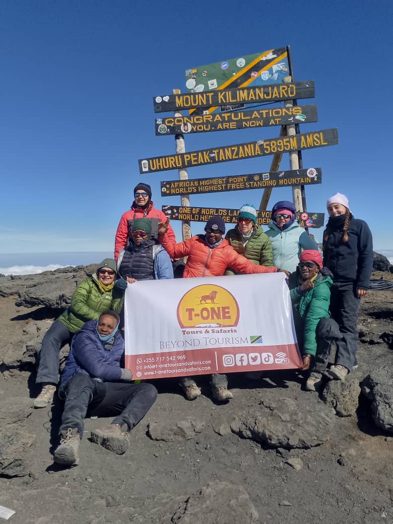 T-One Tours and Safaris
