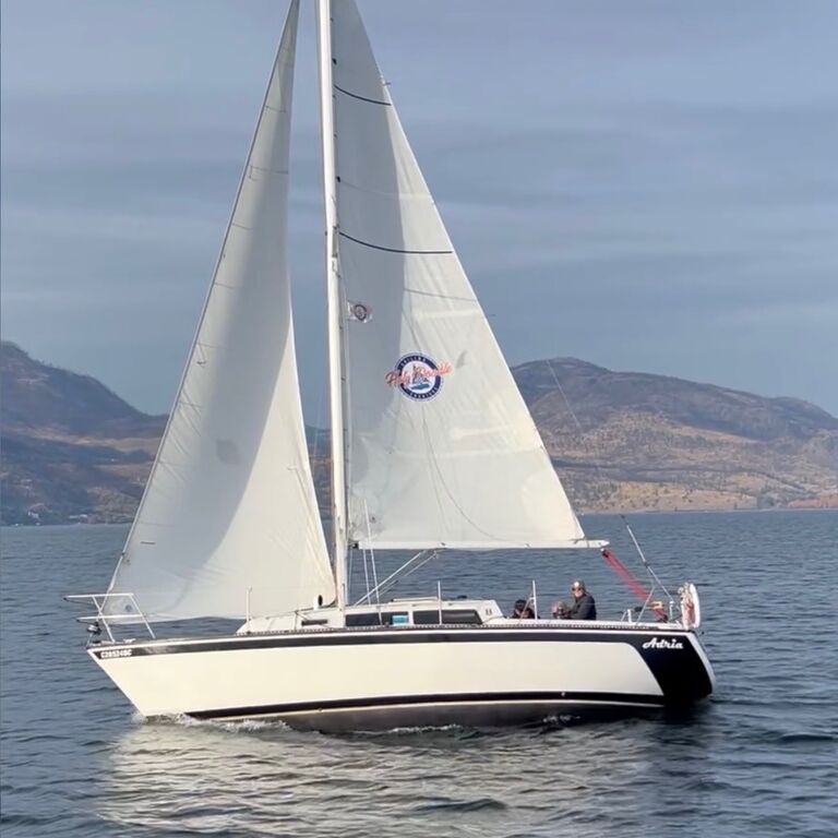 Holy DoodleSailing Charters