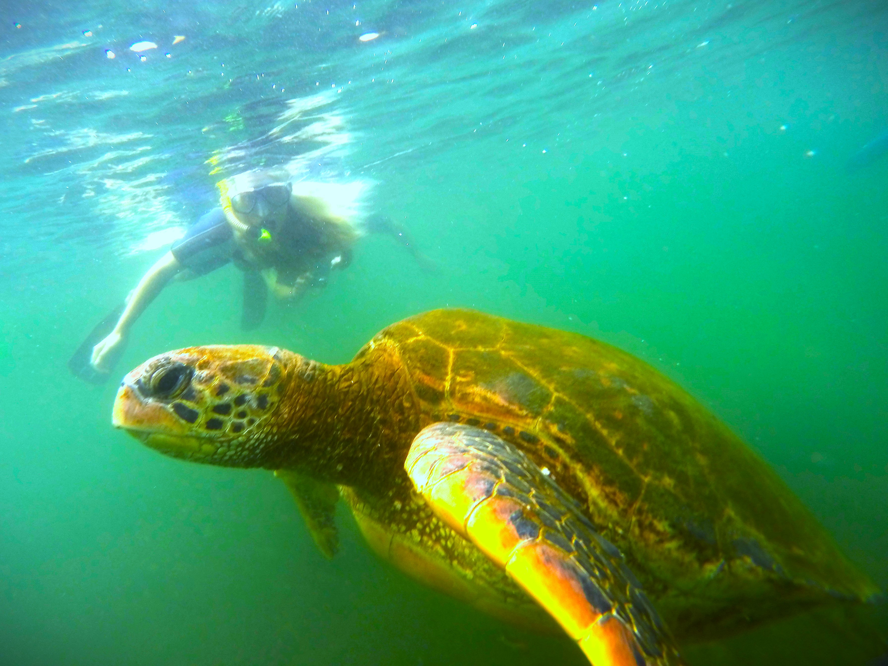 LATINA REAL TOURS ECUADOR