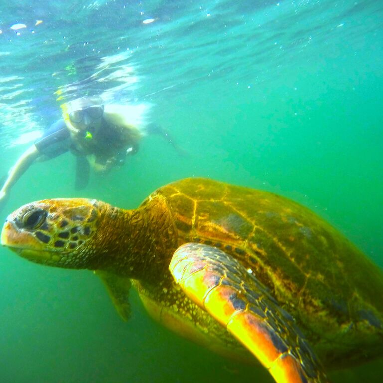 LATINA REAL TOURS ECUADOR