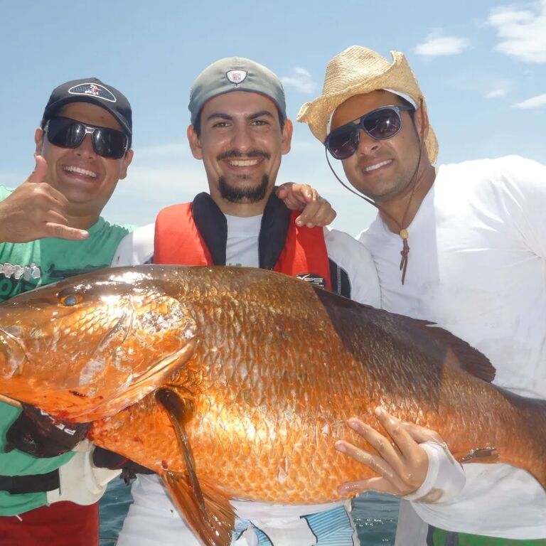 Tour Sierpe CR