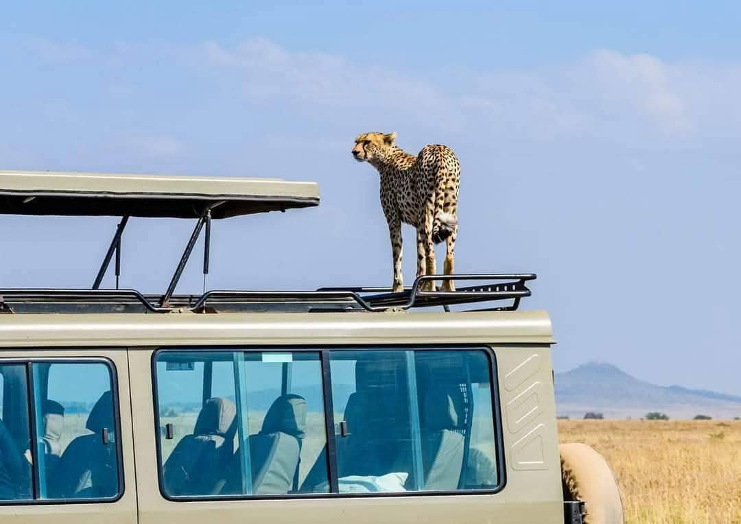 Precious Africa Adventures