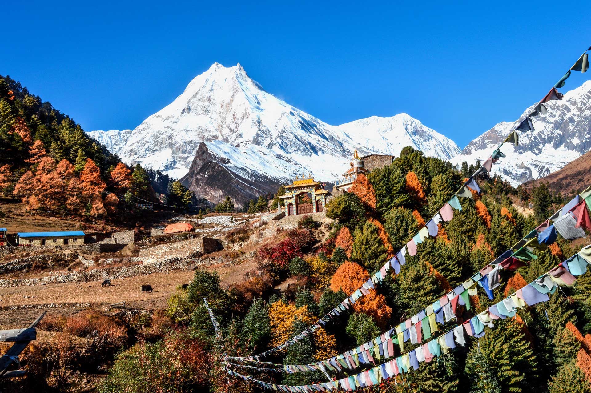 Ambassador Himalaya Treks