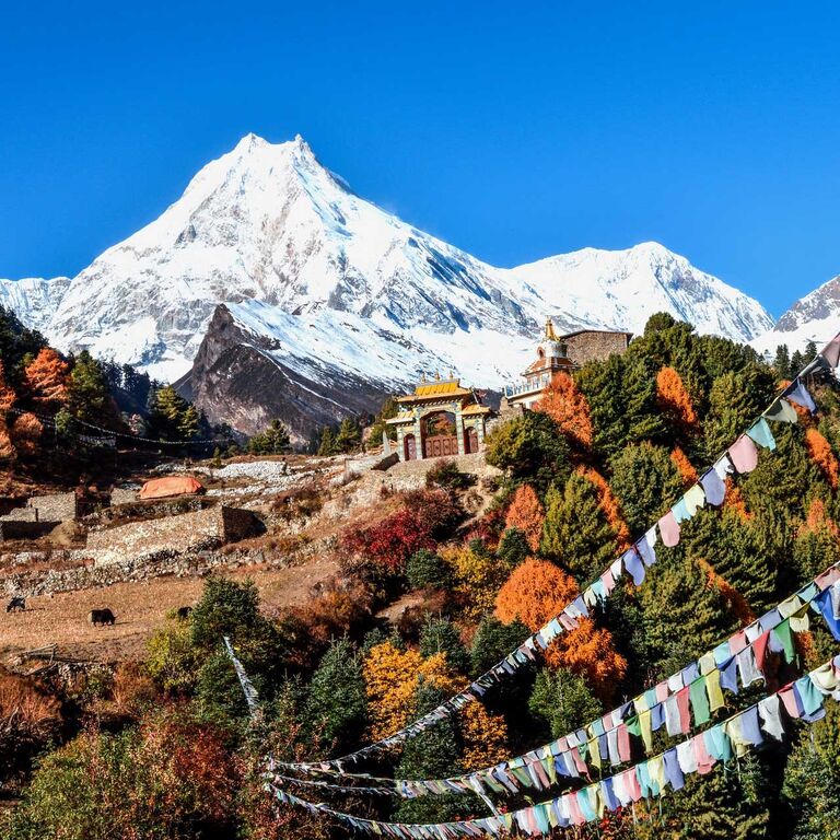 Ambassador Himalaya Treks