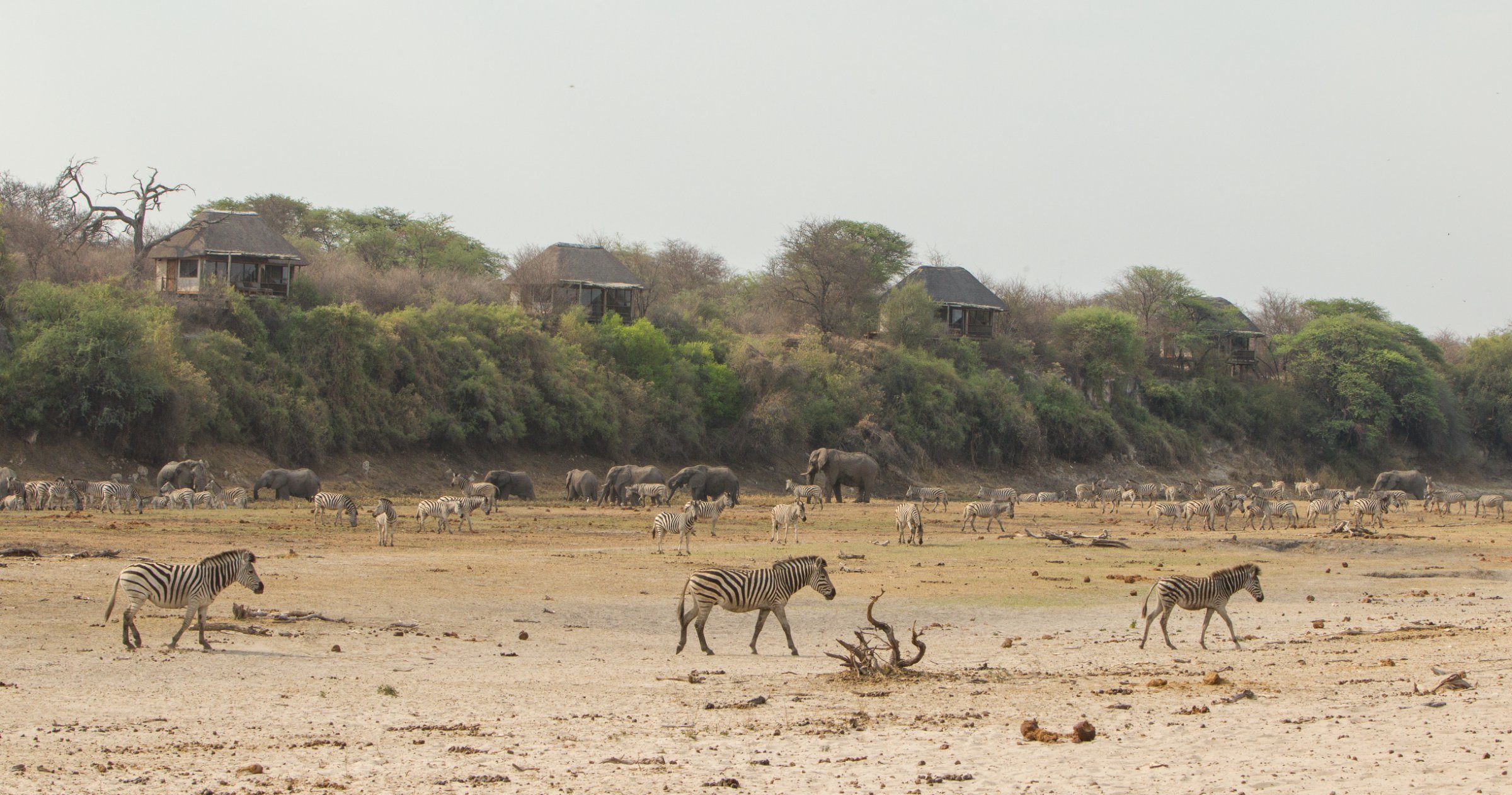 Makgadikgadi Pan Adventure