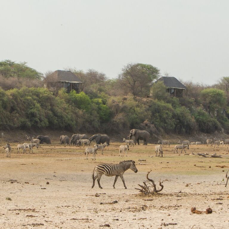 Makgadikgadi Pan Adventure