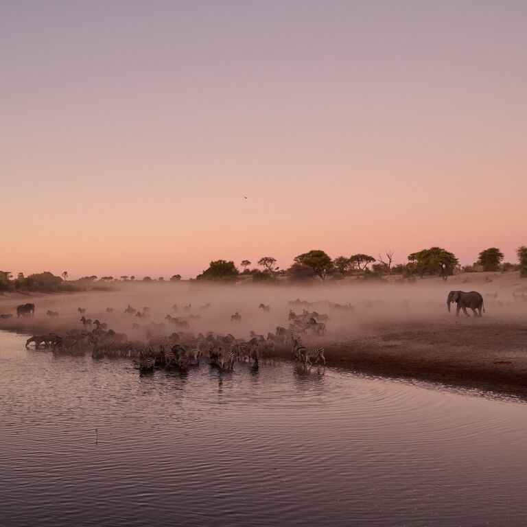 Makgadikgadi Pan Adventure