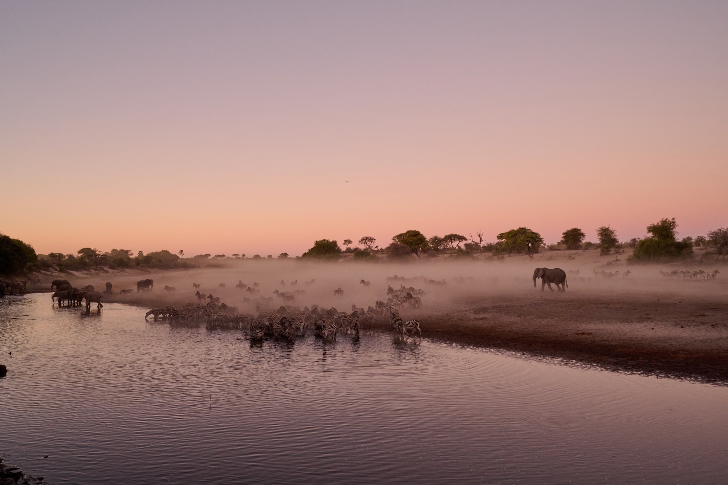 Makgadikgadi Pan Adventure