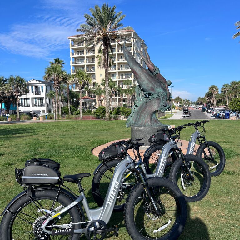 Beach E-Bikes Rentals & Sales
