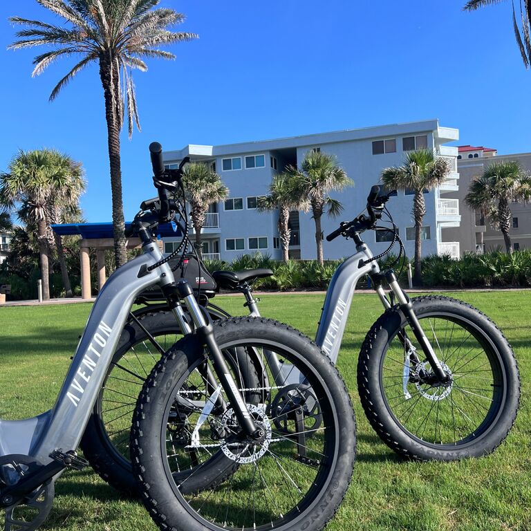 Beach E-Bikes Rentals & Sales