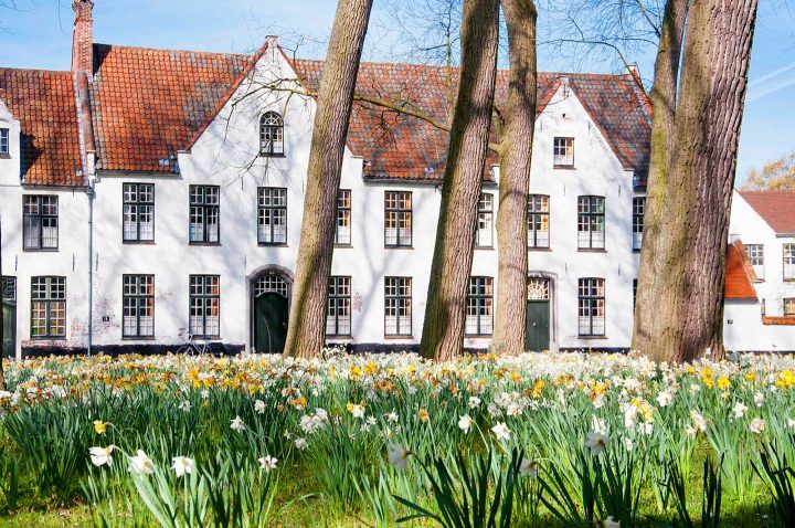 GuidingYou Guided Tours agency