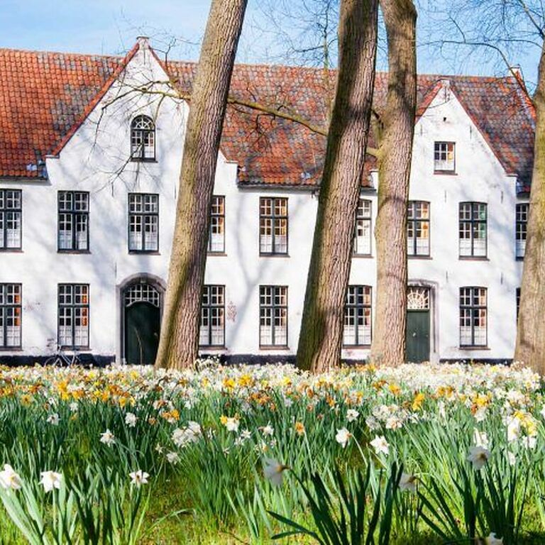 GuidingYou Guided Tours agency