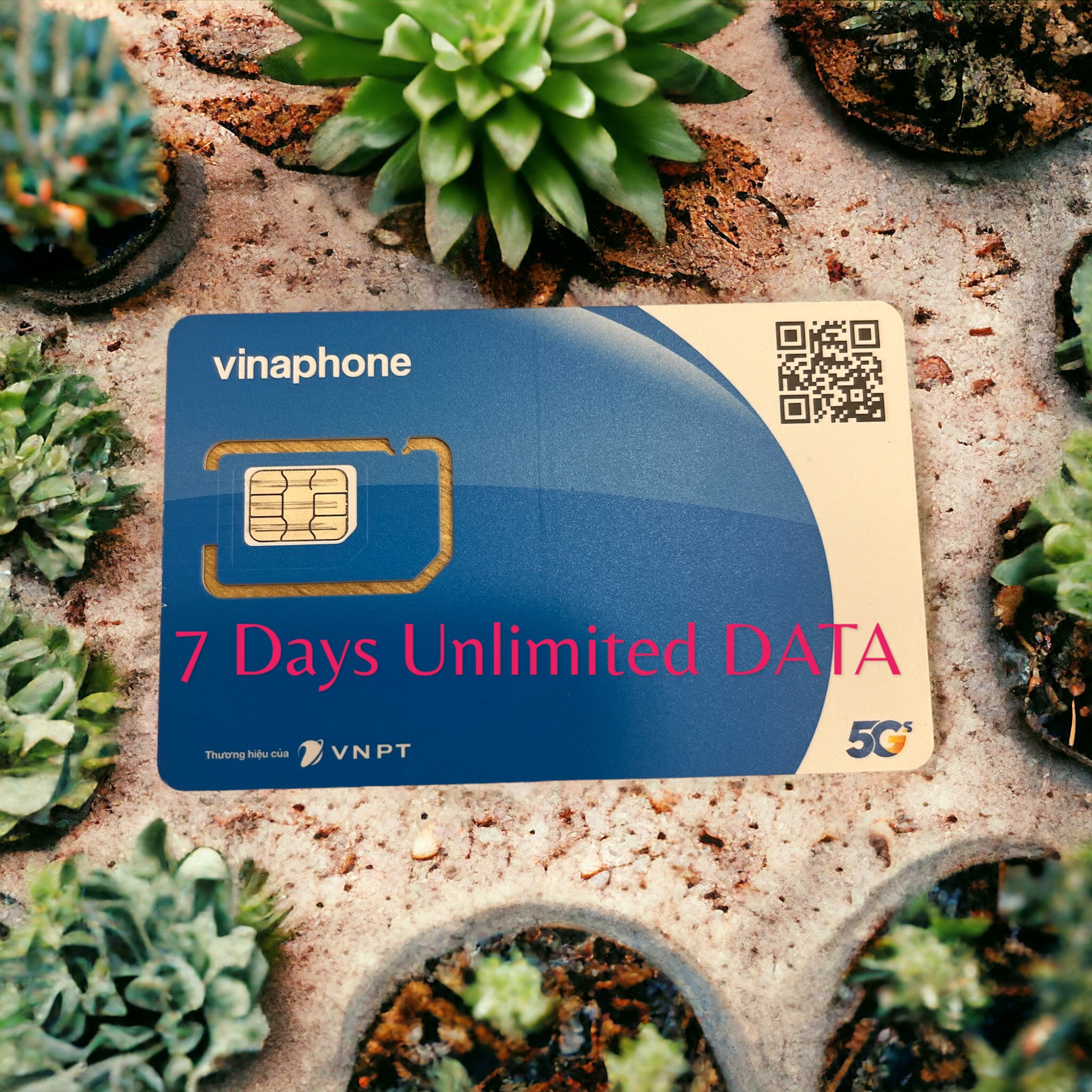 Vietnam Data Sim Card