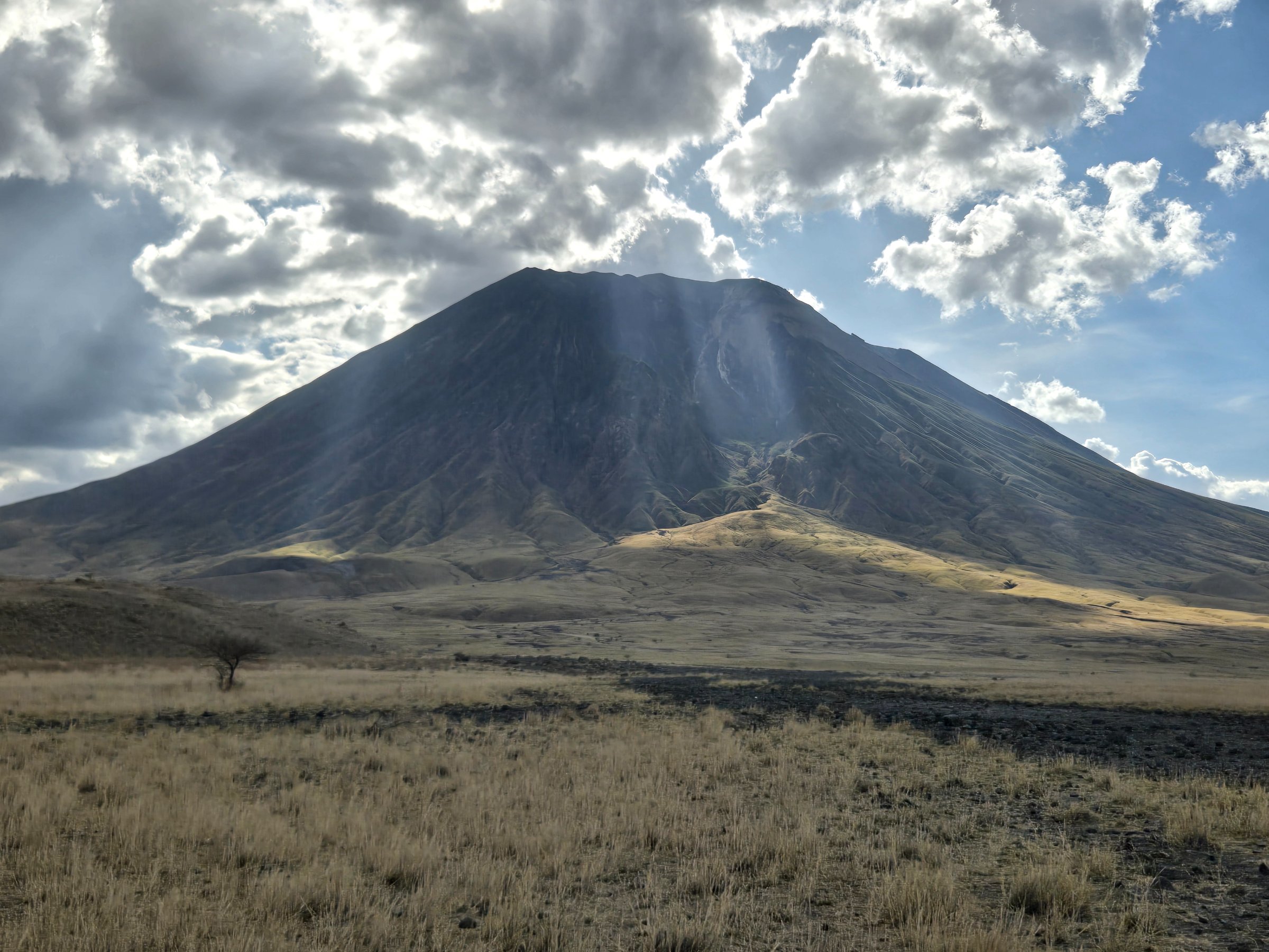 Paramount Gorilla Expeditions