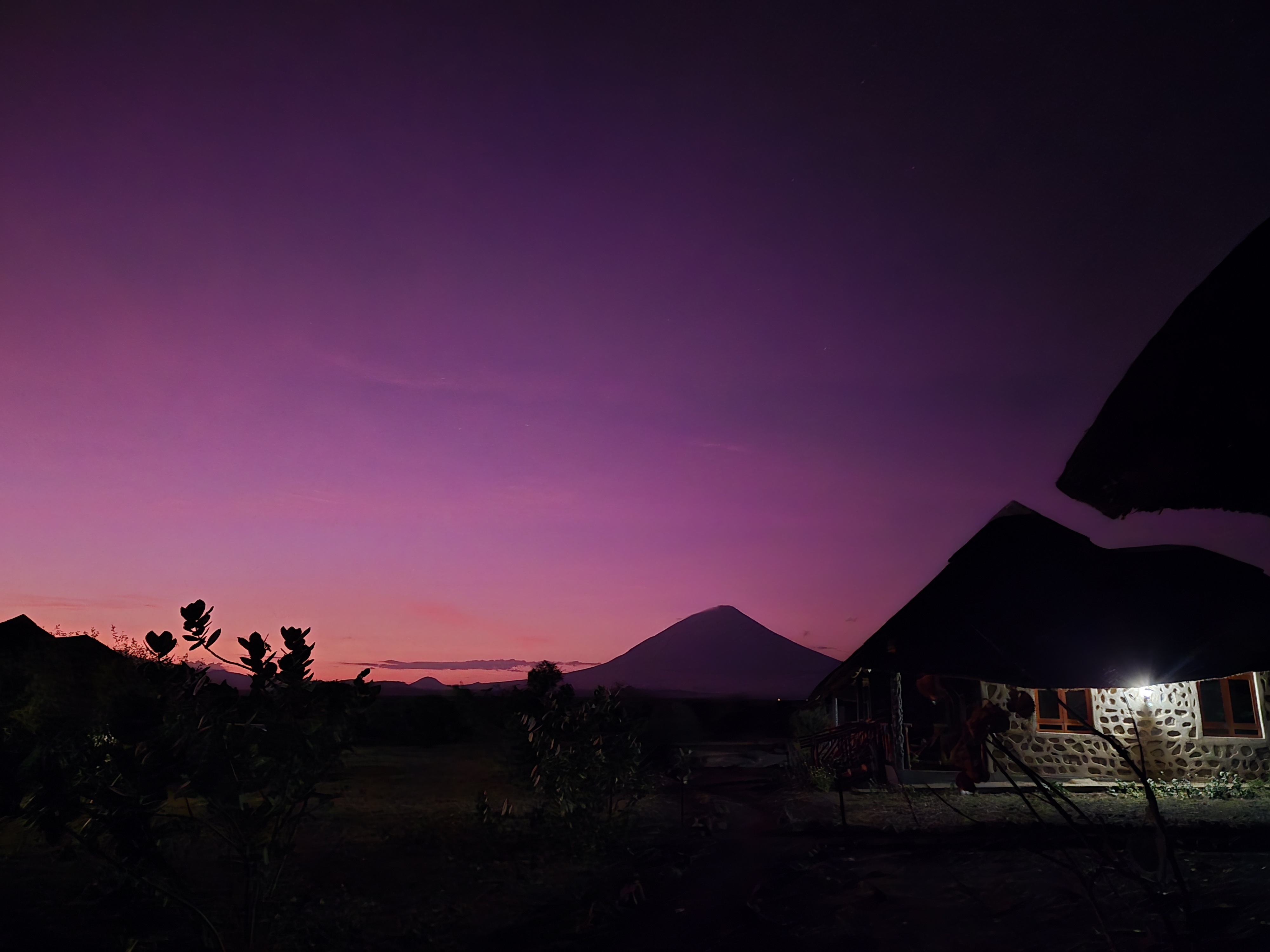 Paramount Gorilla Expeditions