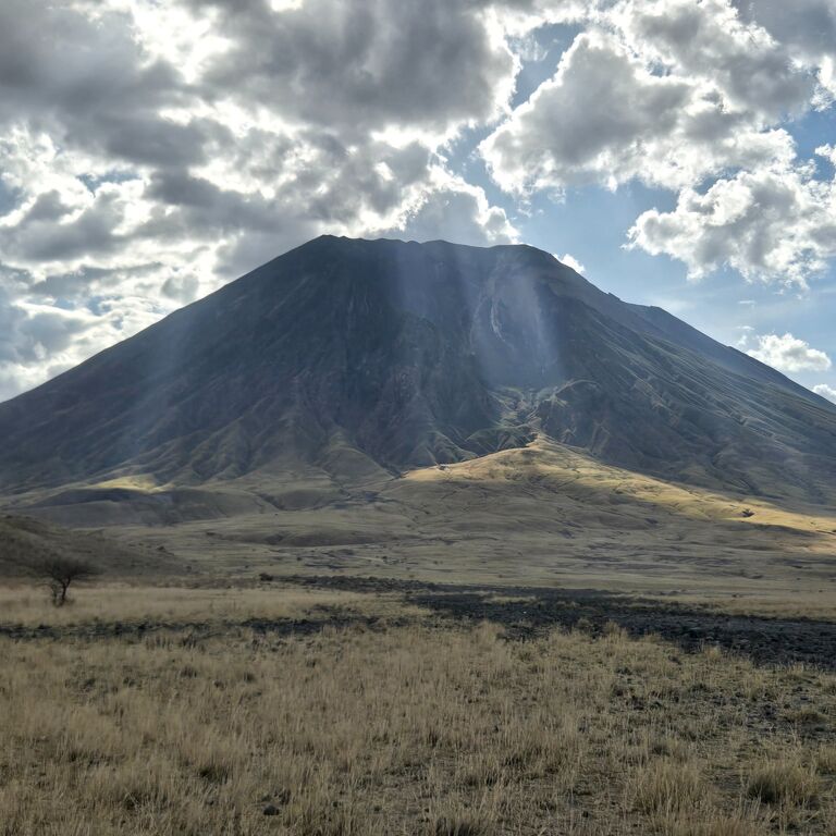 Paramount Gorilla Expeditions