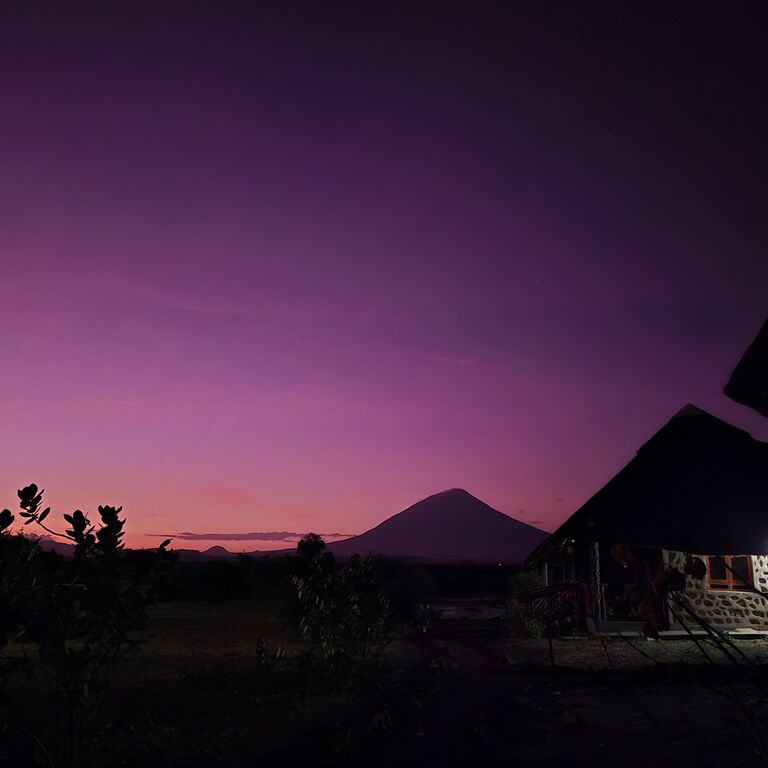 Paramount Gorilla Expeditions