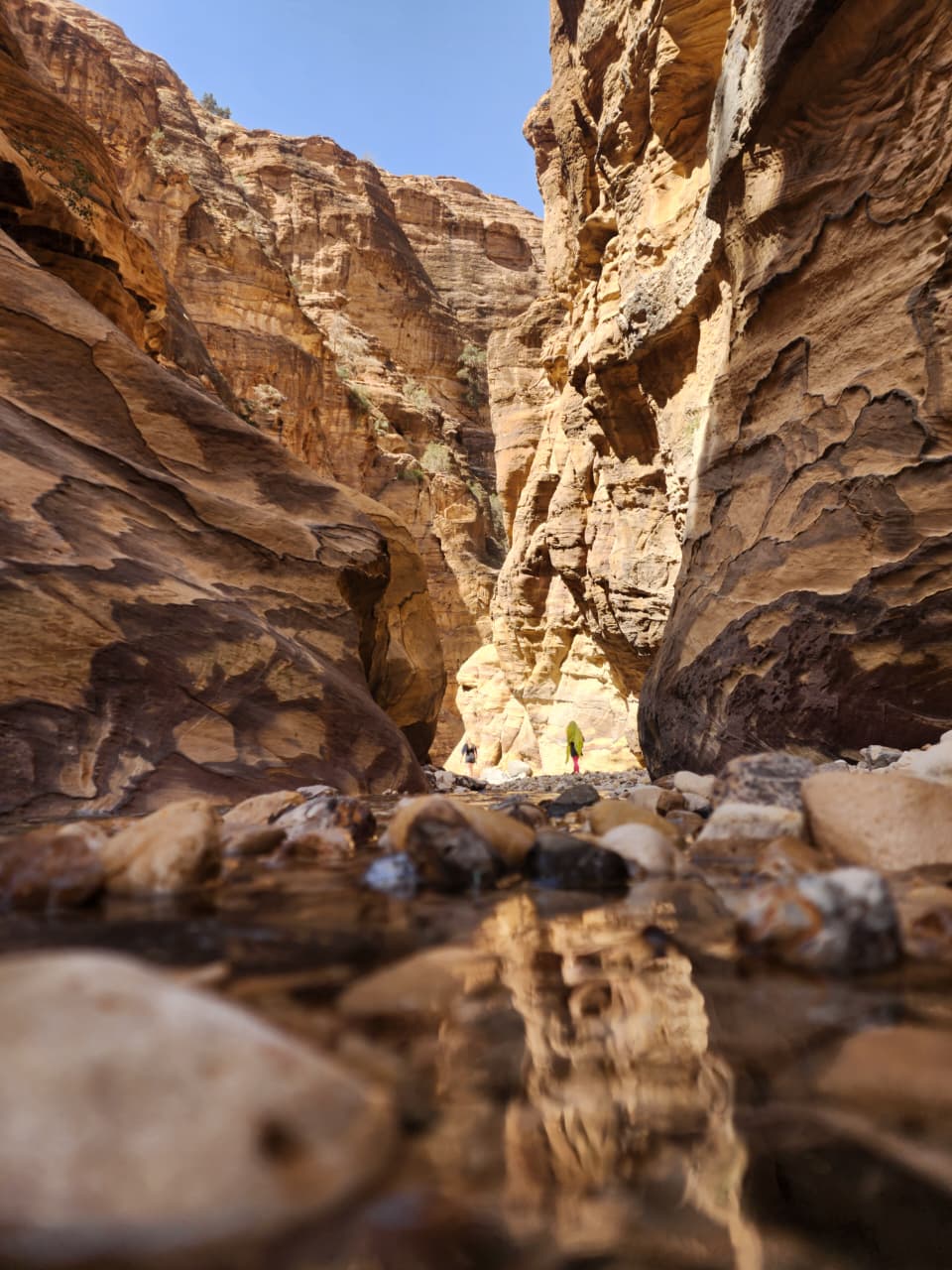 Desert Paramours Tours
