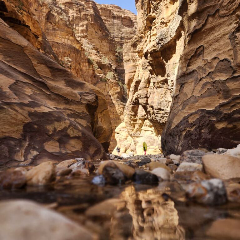 Desert Paramours Tours