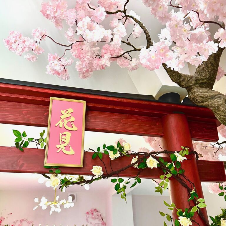 Hanami Teatime