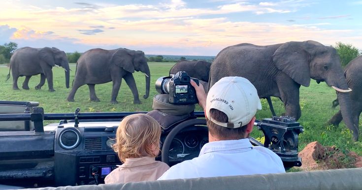 TRIP GENIUS ADVISORY SAFARIS