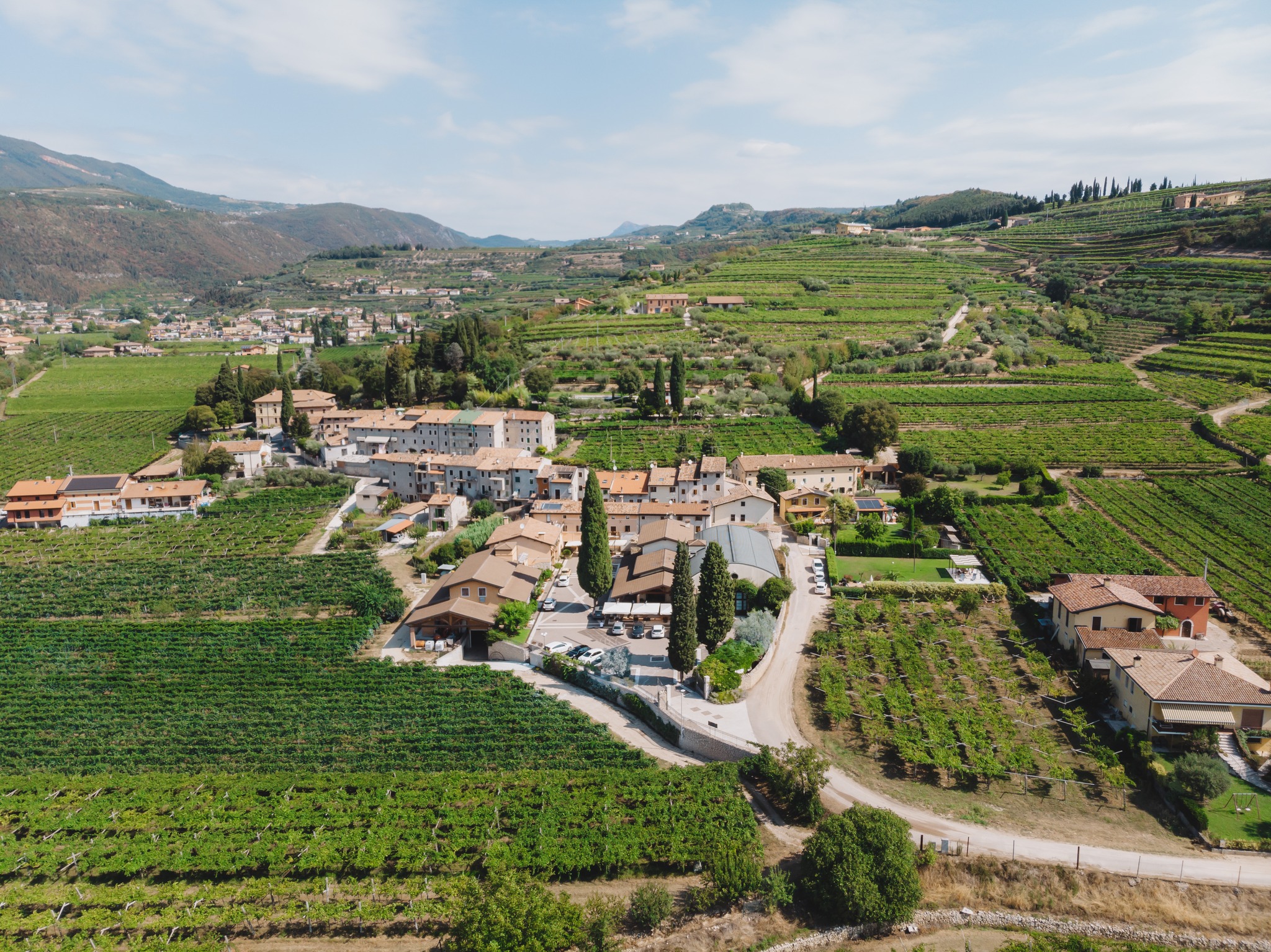 VALENTINA CUBI Organic Winery