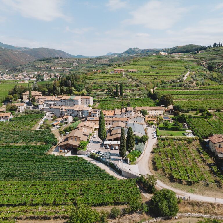 VALENTINA CUBI Organic Winery