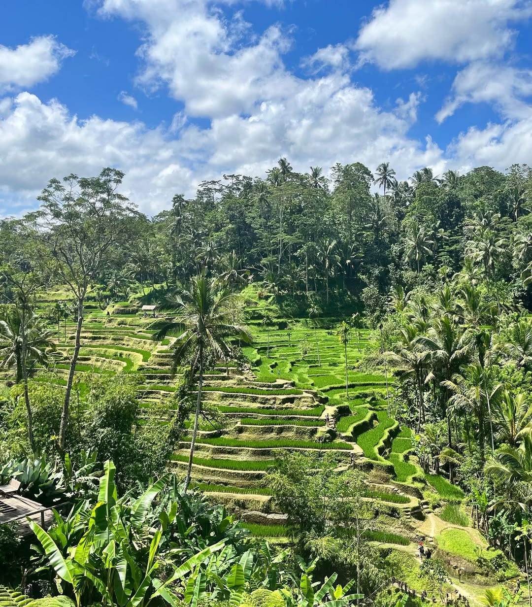 Bali Highlights Instagram Tour