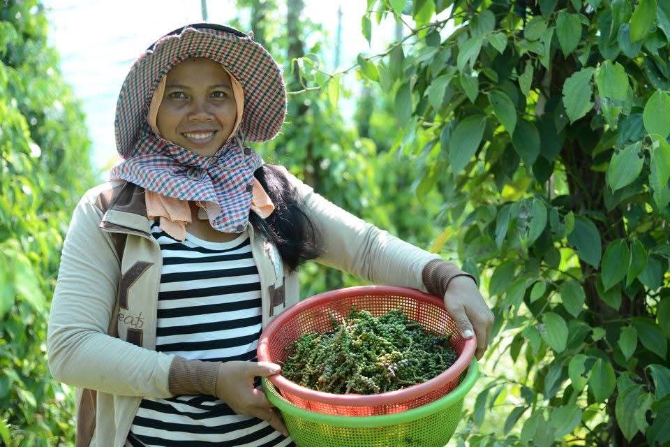 A Local Family-Run Pepper Farm
