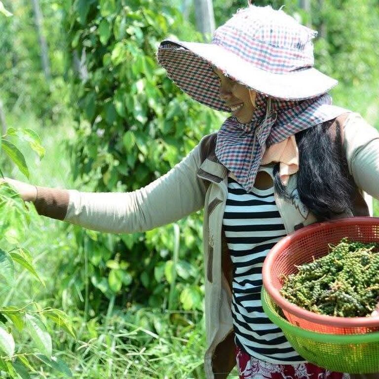 A Local Family-Run Pepper Farm