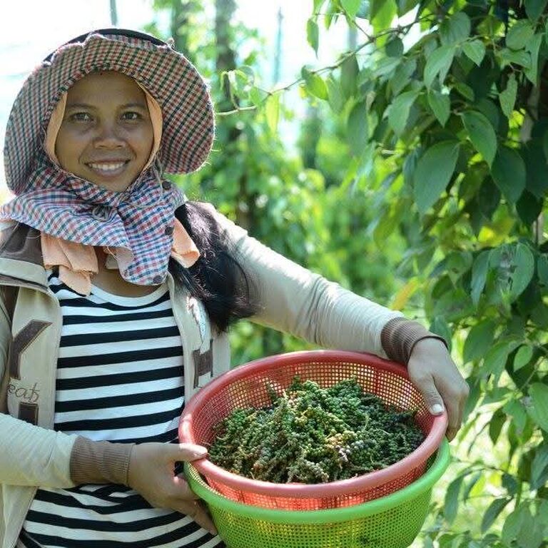 A Local Family-Run Pepper Farm